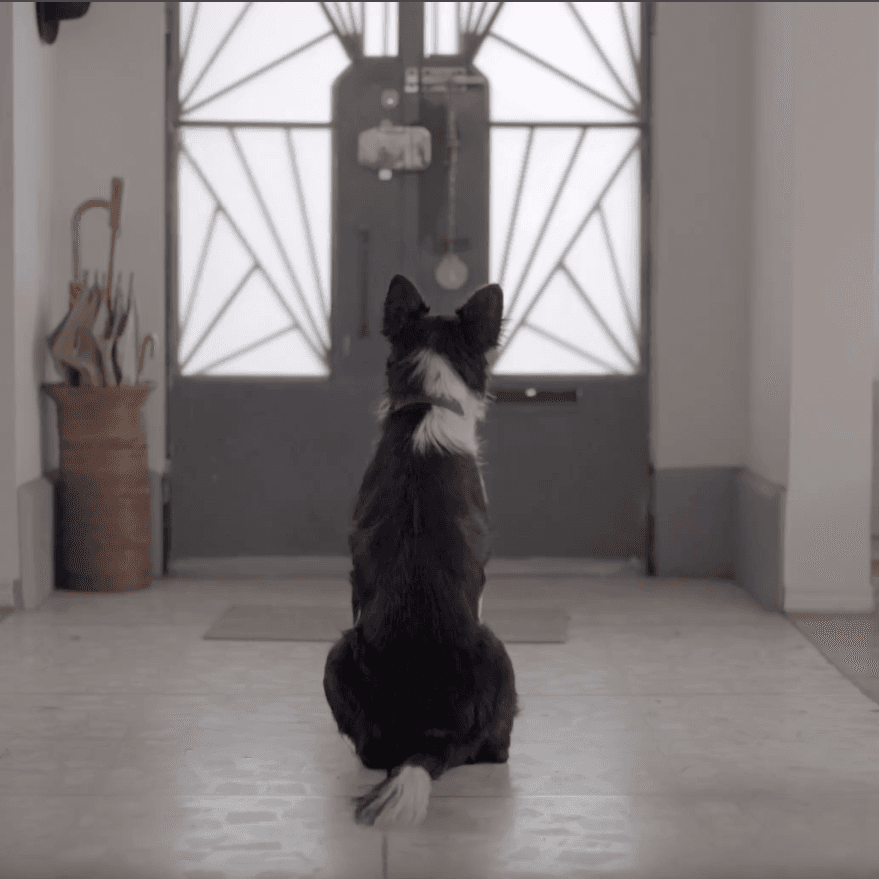 Dia de Padre project image